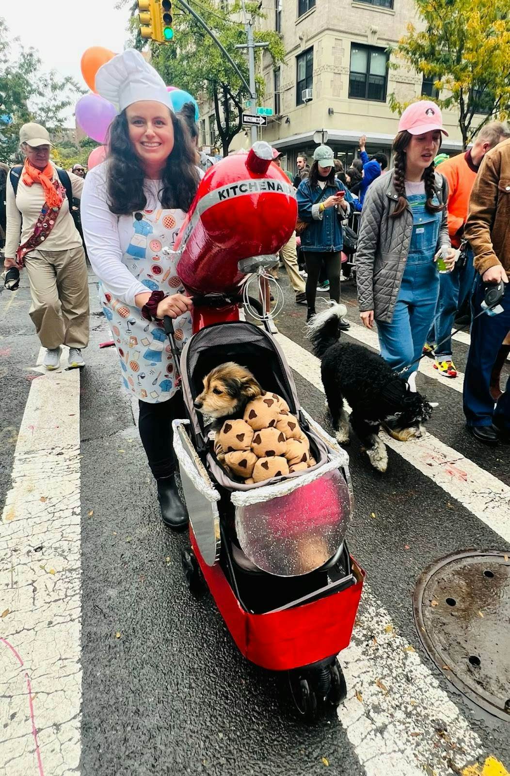 A small terrier dressed up as a cookie dough in a KitchenAid mixer bowl at New York’s Tompkins Square Halloween Dog Parade.