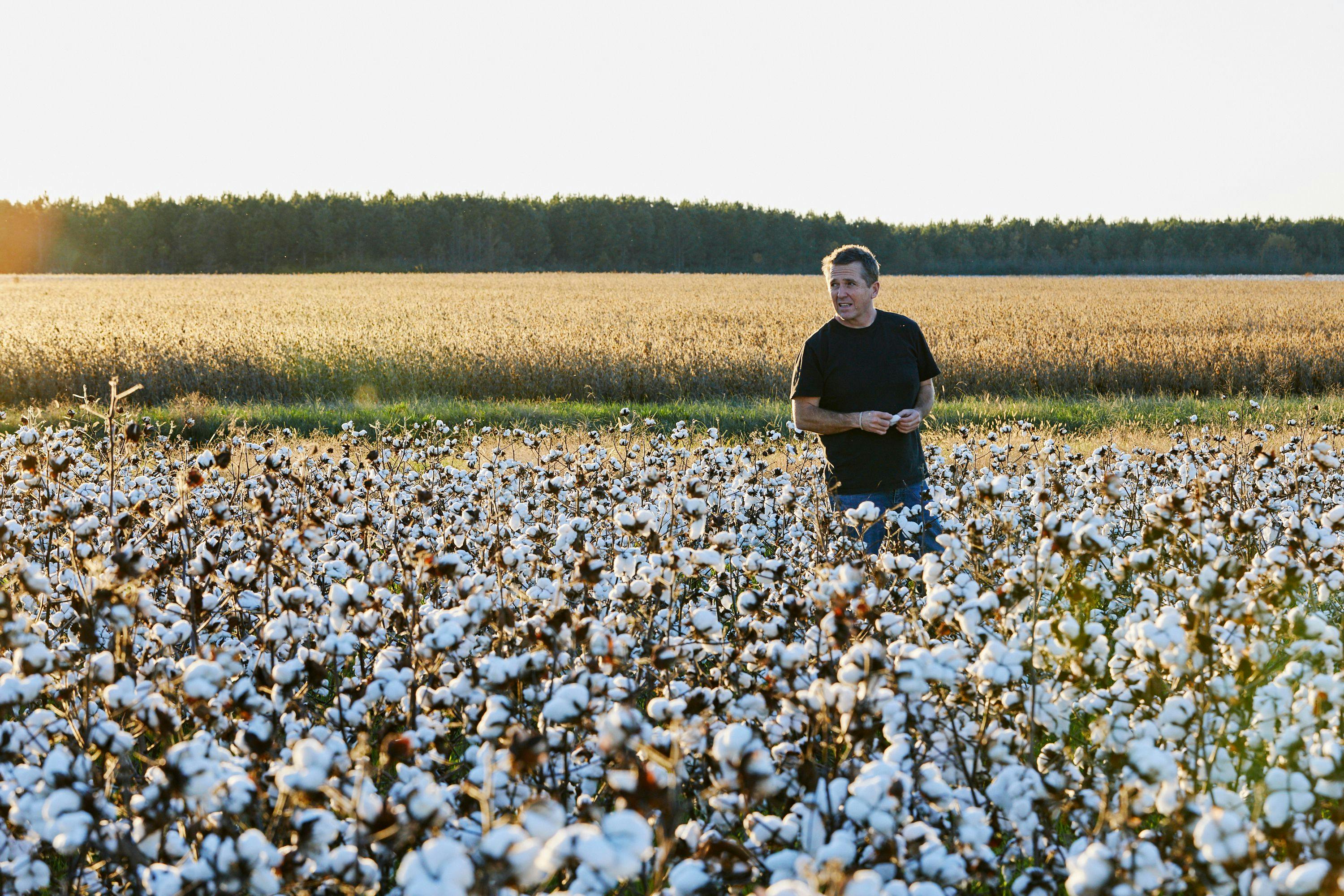 American Giant founder and CEO Bayard Winthrop stands in a cotton field.